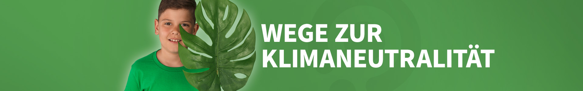 Wege zur Klimaneutralität